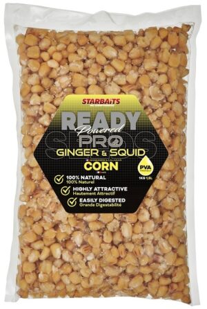 Starbaits Kukuřice Ready Seeds Pro Ginger Squid 1 kg